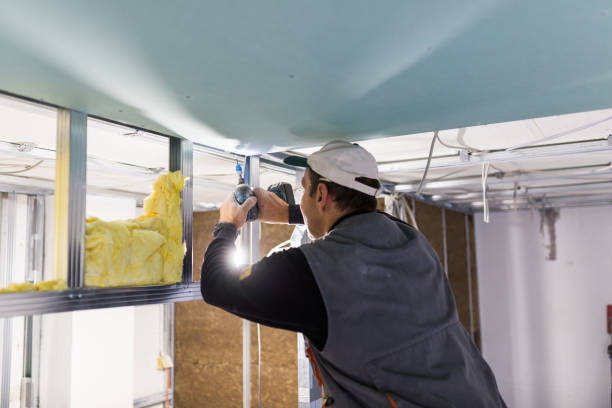 Best Insulation Inspection Services  in Long Beach, MS
